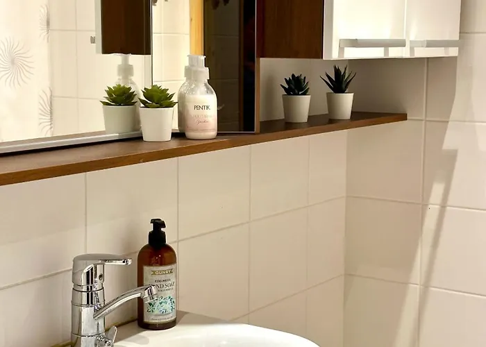 Appartement Iso Saunallinen Kaksio Laehellae Keskustaa *