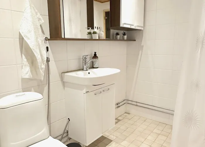 Iso Saunallinen Kaksio Laehellae Keskustaa Seinäjoki